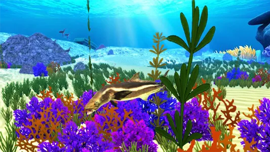 The Cobia screenshot 0
