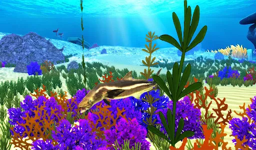 The Cobia screenshot 14