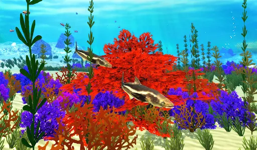The Cobia screenshot 15