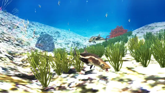 The Cobia screenshot 5