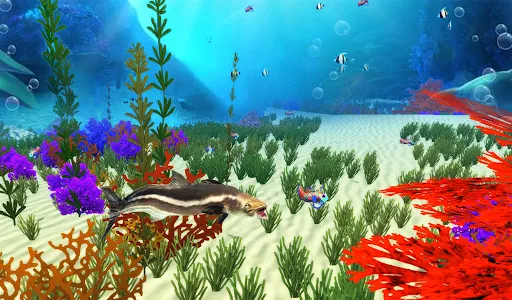 The Cobia screenshot 9