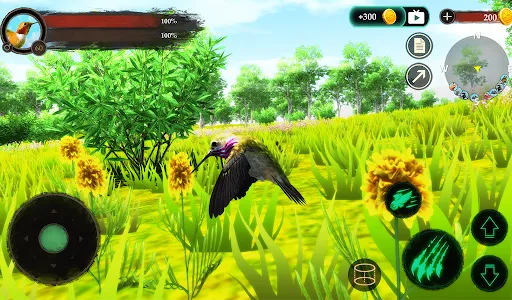 The Hummingbird screenshot 11