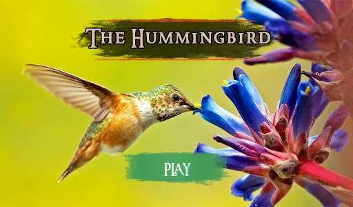 The Hummingbird screenshot 13