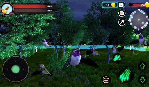 The Hummingbird screenshot 15