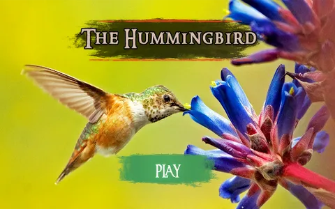 The Hummingbird screenshot 21