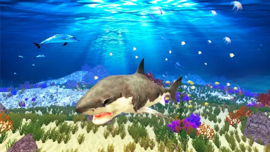 The Shark screenshot 2