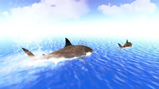 The Shark screenshot 4