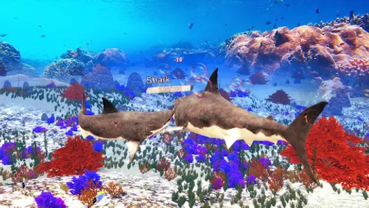 The Shark screenshot 6