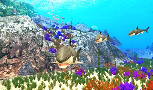 The Shark screenshot 9