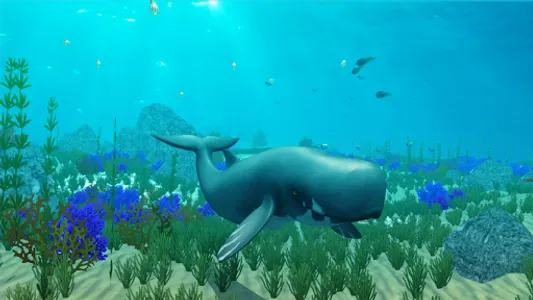 The Sperm Whale screenshot 6