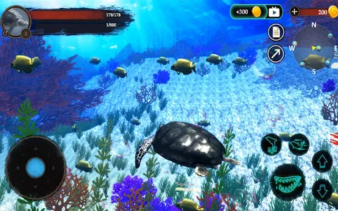 The Turtle screenshot 21