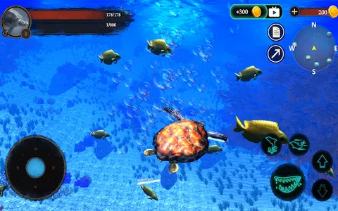 The Turtle screenshot 22