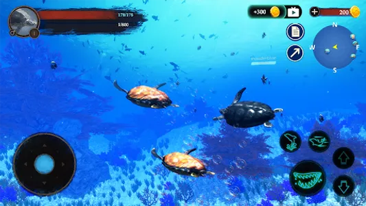 The Turtle screenshot 4