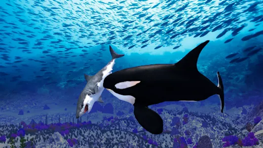 The Killer Whale screenshot 12