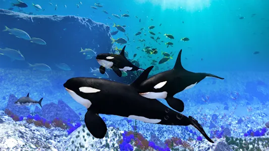 The Killer Whale screenshot 18