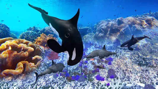 The Killer Whale screenshot 19