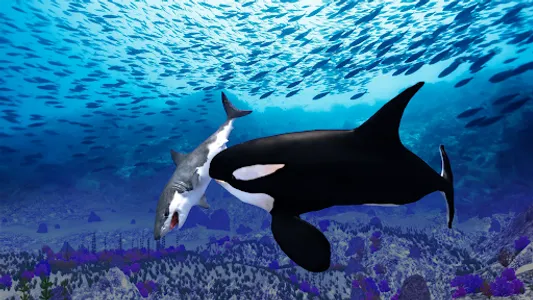 The Killer Whale screenshot 21