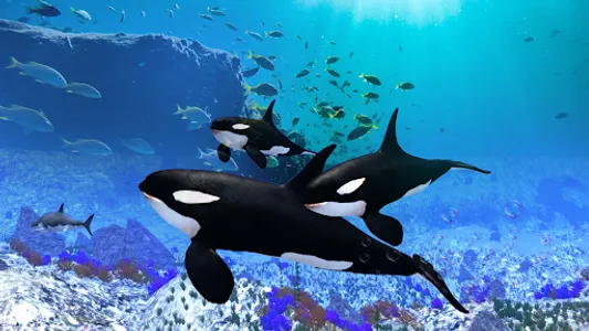 The Killer Whale screenshot 9