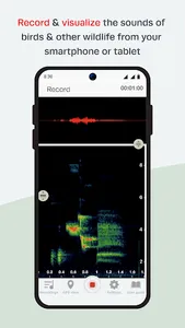 Song Meter Touch Recorder screenshot 0