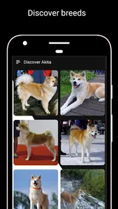 Dog Breeds screenshot 2