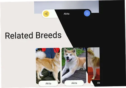 Dog Breeds screenshot 8