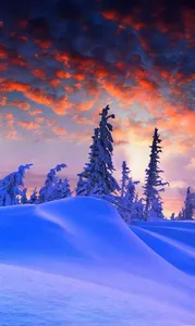 Winter Wallpaper 4K screenshot 10
