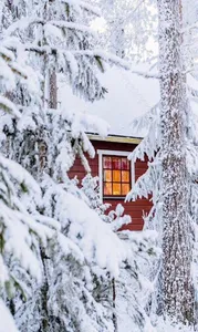 Winter Wallpaper 4K screenshot 11