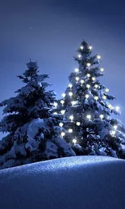Winter Wallpaper 4K screenshot 13