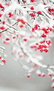 Winter Wallpaper 4K screenshot 7
