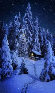 Winter Wallpaper 4K screenshot 8