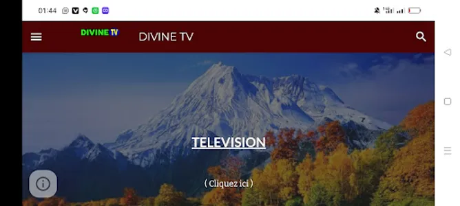 DIVINE TV screenshot 1