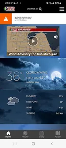 WNEM Weather screenshot 0