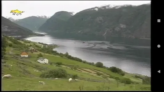 La Norvegia in guscio di noce screenshot 6