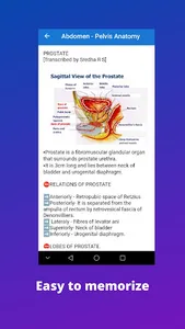 Anatomy notes:Abdomen & Pelvis screenshot 2