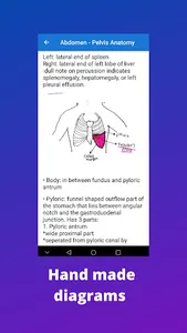 Anatomy notes:Abdomen & Pelvis screenshot 3