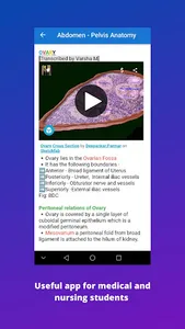 Anatomy notes:Abdomen & Pelvis screenshot 6