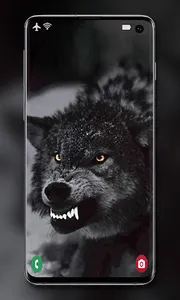 Wolf Wallpaper screenshot 5