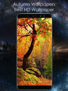 Autumn Wallpapers Free HD screenshot 4