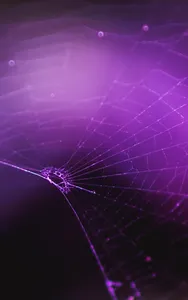 Best Purple Wallpaper 4K screenshot 4