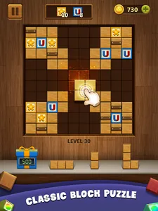 Wood Block Puzzle screenshot 8