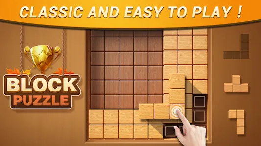 Wood Block Puzzle screenshot 11