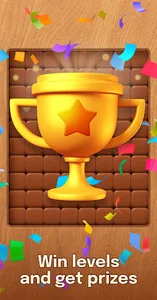 Slidy - block slide puzzle screenshot 10