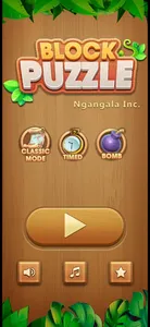 Wooden Block Puzzle 2023 screenshot 8