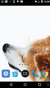 akita inu wallpaper screenshot 1