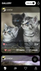 Cat Holic - Cat Photo Sharing  screenshot 0