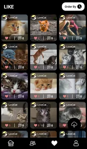 Cat Holic - Cat Photo Sharing  screenshot 1
