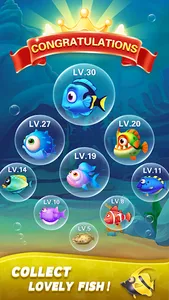 Block Ocean 1010 Puzzle Games screenshot 12