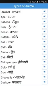 Daily Words English to Punjabi screenshot 4