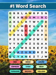 Word Search : Word Find screenshot 3