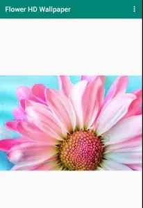 Flower HD Wallpaper screenshot 1